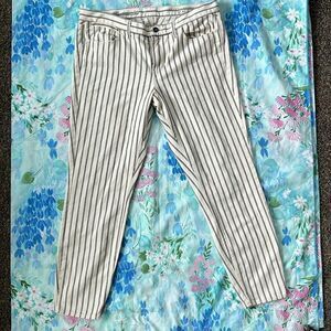 Madewell Skinny Skinny Ankle Jeans in Twin Stripe - 32